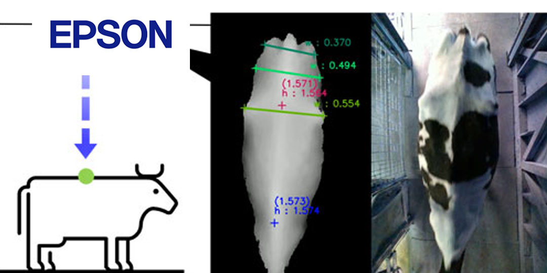 セイコーエプソン株式会社